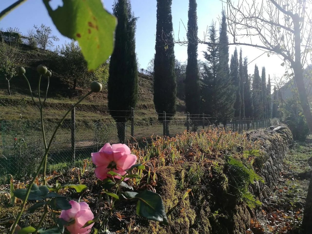 Podere Groppini Fivizzano 0*,
