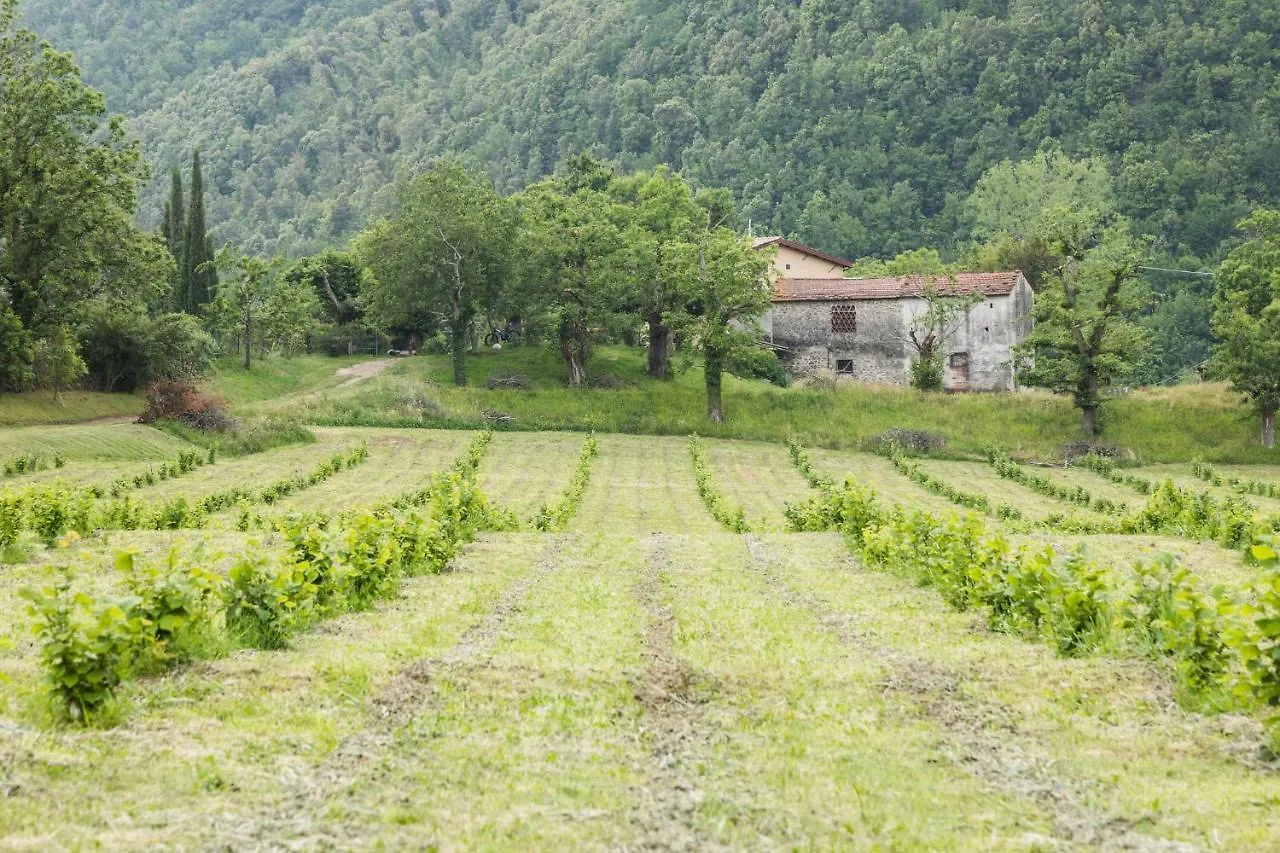 Podere Groppini Fivizzano 0*,  Italia