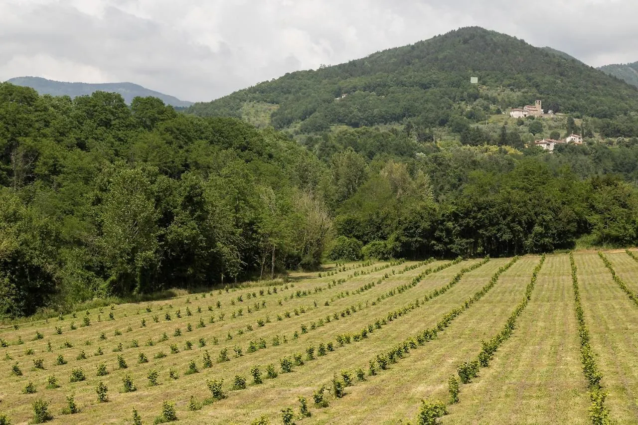 Podere Groppini Fivizzano 0*,  Italia