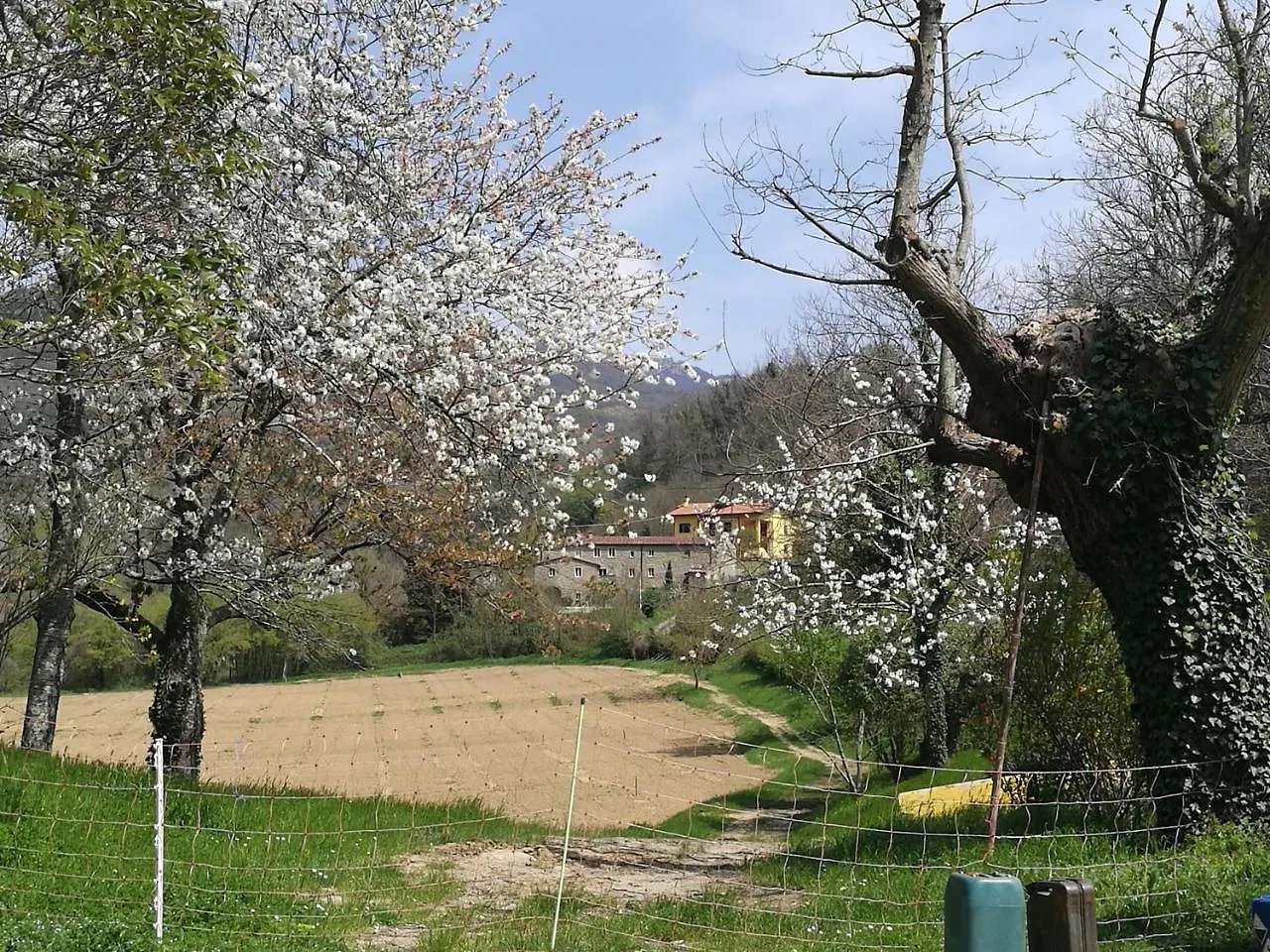 Alloggio per agriturismo Podere Groppini Fivizzano